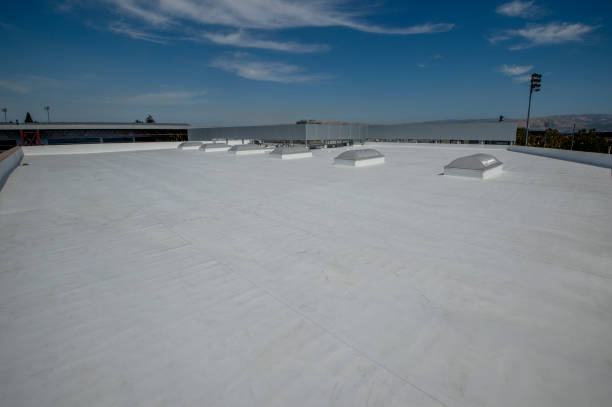 Best Roof Ventilation Installation  in Mount Healthy Heights, OH