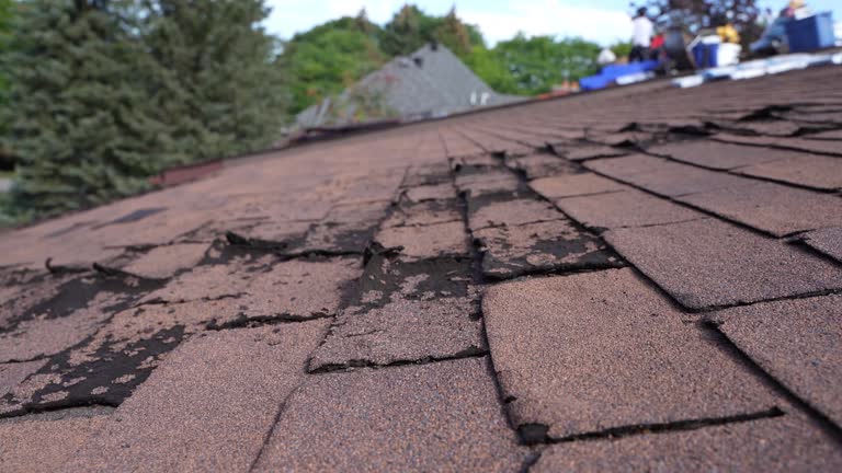 Best Storm Damage Roof Repair  in Mount Healthy Heights, OH