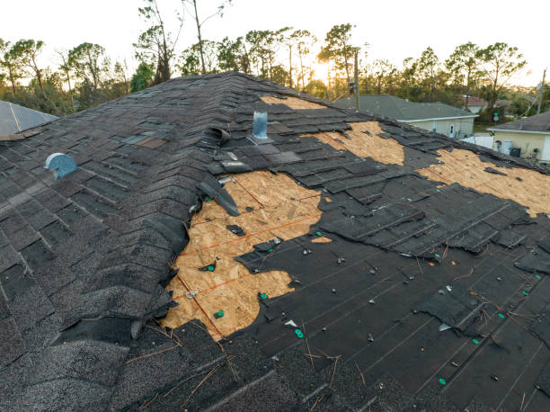 Best Commercial Roofing Services  in Mount Healthy Heights, OH